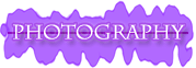 dvd design