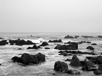 b&w ocean